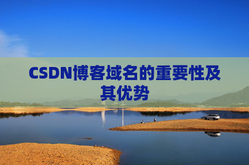 CSDN博客域名的重要性及其优势